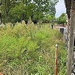 Tri-clone Trimmer Head with Replacement Blades Bundle - Metal Blade Weed Wacker and Brush Cutter Attachment, Compatible with Most Straight Shaft String Trimmers