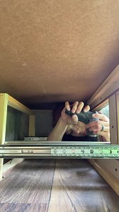 Sticking my head in places it doesn’t belong since 1991 | Heather Fallen