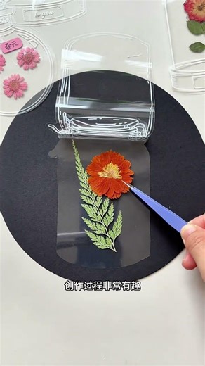 Springtime Fun: Family Park Adventure for Kids