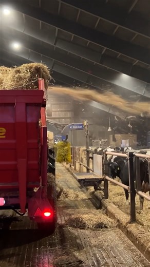 Ladies on Tractor Tracks 🚜 #howitworks #farmlife #agriculture #Reels #FacebookReels #ShortVideos #VideoContent #ViralVideos #Trending #Entertainment #FunTimes #CreativeContent #InstaReels #ExplorePage #SocialMedia #DigitalContent #VideoOfTheDay #ShareTheJoy #fyp #boom | Tammie Martinez