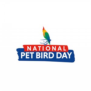 National Pet Bird Day | myBird