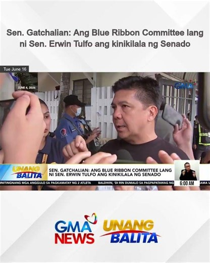 Sen. Gatchalian - Ang Blue Ribbon Committee lang ni Sen. Erwin Tulfo... | Unang Balita
