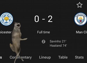 Leicester City Football Club | Wolves Sarcasm