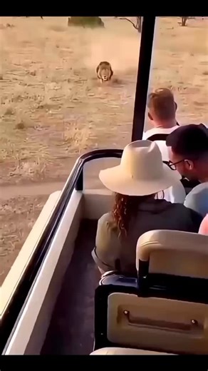 Mo Mide on Instagram: "Some plug-ins look like lions. Big GUI. Analog design. Vintage knobs. Meters dancing. Marketing promises everywhere. A newbie engineer sees it and immediately believes: “This plug-in must be powerful.” “This one will fix my mix.” “This is what professionals use.” So they load it with fear and excitement at the same time. But not until you grab it and really listen. You turn the knobs. You push the drive. You engage the magic buttons. Then the mane comes off. You realize th