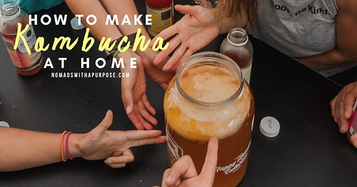 How to Make Kombucha at Home: DIY Fermentation Guide • Nomads With A Purpose
