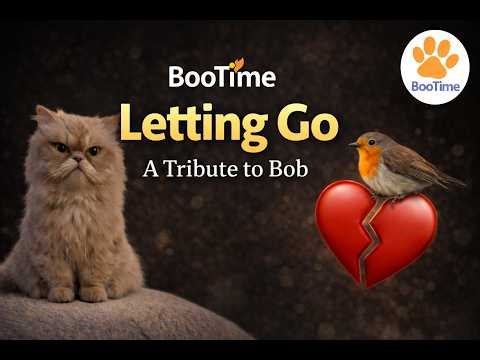 Boo & Bob | A Gentle Story About Letting Go 💛 | Boo Time