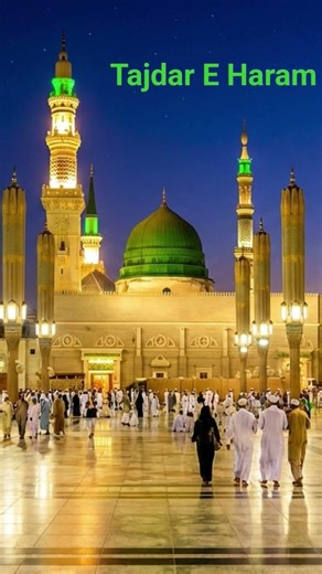 Tajdar-E-Haram | Owais Raza Qadri | New Naat 2020 #foryou #travel #madina #muhammadﷺ