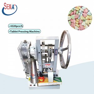 [Hot Item] Electric Small Desktop Portable Worm Gear Small Weight Single Punch Tablet Press Machine