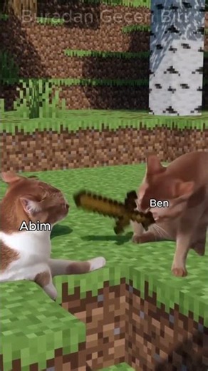 Sonunda Abimle Hesaplaşma Vakti #komik #minecraft #kedivideoları