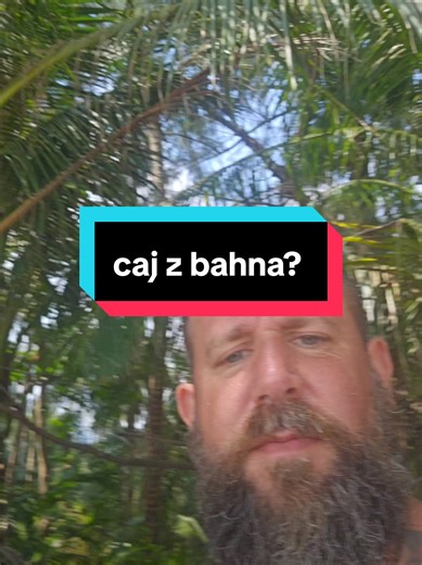 Odpovědět uživateli @godcorazon420_caj