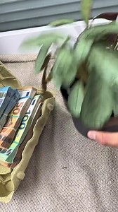 319K views · 1.9K reactions | Counting & crinkling euro notes — just for the sound and the visuals  Pure ASMR vibes, no real transactions  #asmr #fyp #fürdich #cash #euro #geld #oddlysatisfying #counting | Euro Whispers ASMR | Facebook