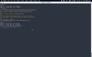 git init 命令详解