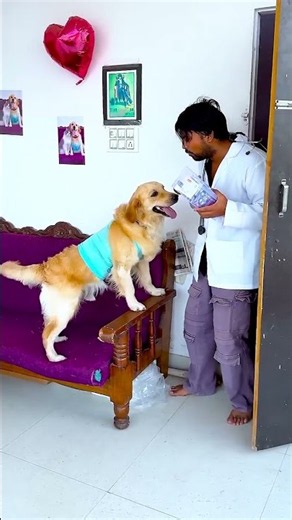 How my dog saved me 😱 #funnydogs #shorts