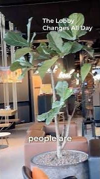 Amsterdam Hotel Lobby | Moxy Amsterdam Schiphol Airport