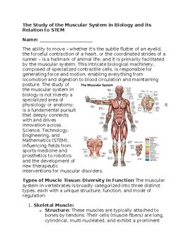Muscular System & STEM - No Prep - Worksheet - 100% Editable