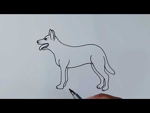 How To Draw A Dog Standing Simple Step By Step || Easy Tutorial Dog Drawing