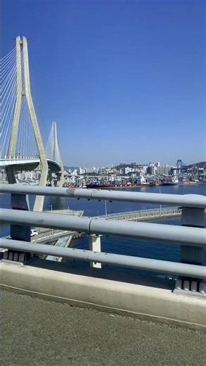 Who’s still using iPhone 11 in 2025? 🙋‍♂️