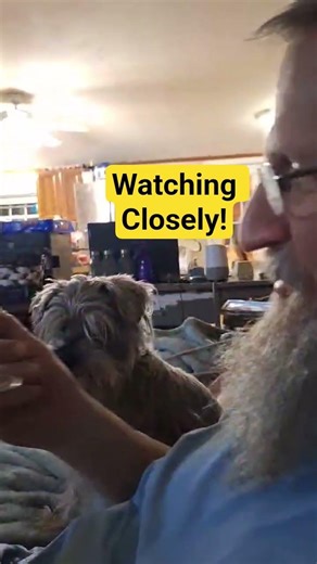 Giggly Moment for Paul with his dog- Blue. Recording so I don't I don't forget. ❤️