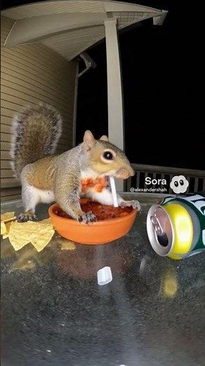 Peaceful moment of a squirrel enjoying a snack 🍂 #pets #sora2 #squirrel #cute #squirrelvideo