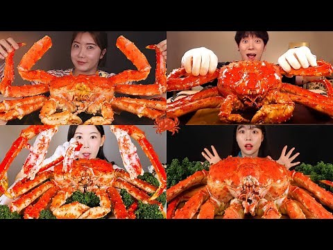 King Crab Mukbang Compilation🦀 | Asmr Eating King Crab