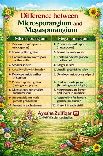 Difference between Microsporangium and Megasporangium in 60 Seconds #biology #microsporogenesis #9th