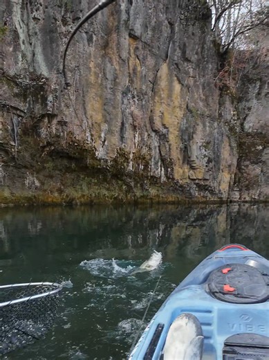 Winter Fishing in Missouri Ozarks: Nice Fish Caught
