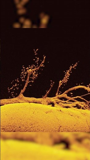 Still relying on 2D sonar? You might be missing what actually matters.
