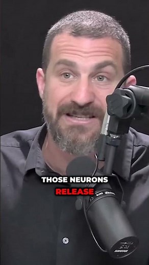 Your Nerves Control Everything