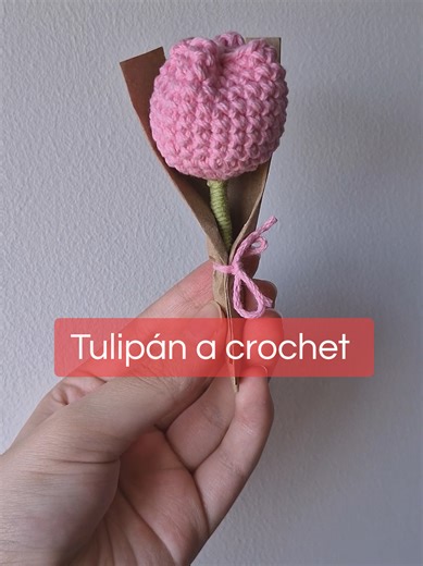 Manualidades para San Valentín: Tulipán a Crochet