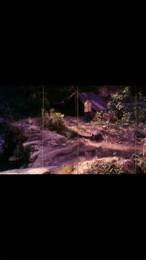 🎥: Matatalim na Pangil #CineMo #CineSilip | CineMo