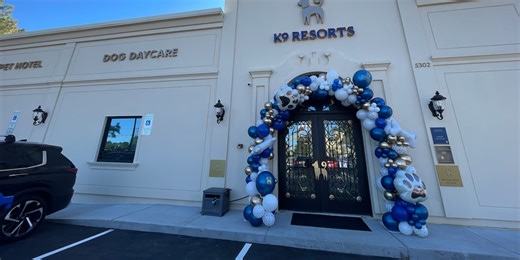 Luxury Dog Hotel called K9 Resorts opens its doors to guests this month