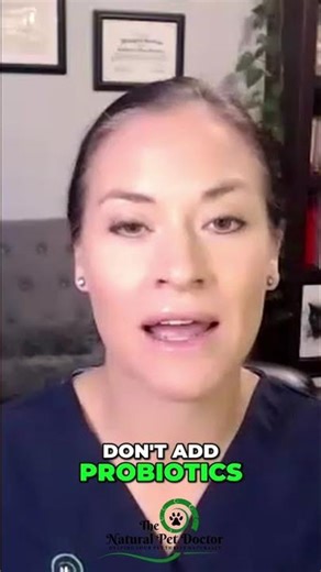 Important Gut Health Tests for Your Pets - Don't Miss This!