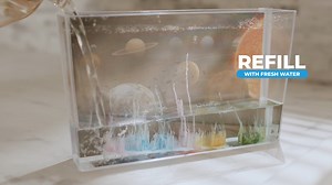 Let your mini geologists create their own crystal garden with the Smithsonian Magic Rocks Kit! 📖 https://1iam.short.gy/TKPlaybook2 📞 https://bit.ly/3xk7RwL 🛒https://1iam.short.gy/TKLnkt | Toy Kingdom