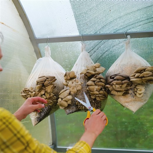 Grow Like a Pro! Simple Hacks for a Thriving Garden | 3-Minute Hacks