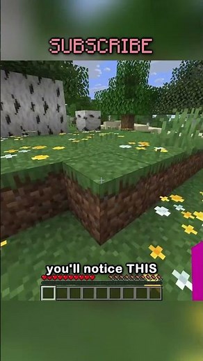 THE RAREST BIRCH TREE IN MINECRAFT