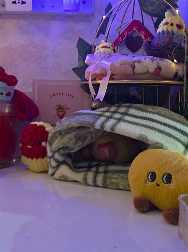 mo ti fifi figir mangue in re ggn dizef🥭🐥#Mango #happiness