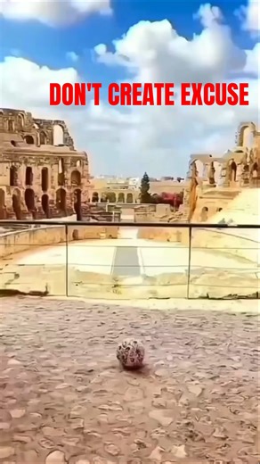 Excuses Mat banau 🙏 #motivation #shorts #viral