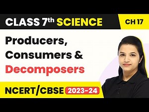 Class 7 Science Chapter 17 | Producers, Consumers and Decomposers - Forests: Our Lifeline