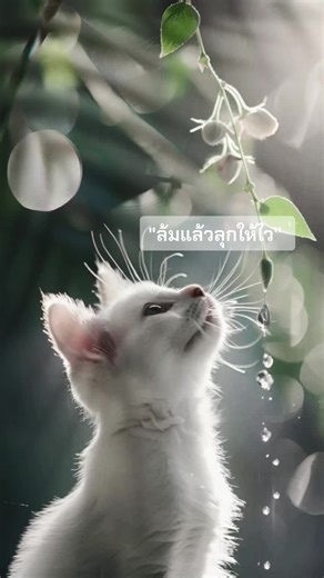 Fail Fast Forward. #ล้มแล้วลุกให้ไว #หายใจแล้วไปต่อ