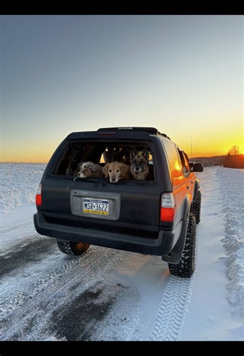 You just gotta keep living man. | Fastest Dog In The World