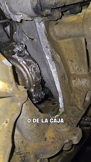 Consecuencias de reprogramar la computadora de tu vehículo | Motor de barrio