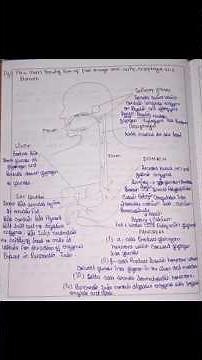 Class 10 Bio chapter 1 life process full notes upto nutrition with VVI question pt 1.🥇
