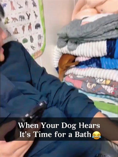 Dogs Hilariously Scared of Bath Time