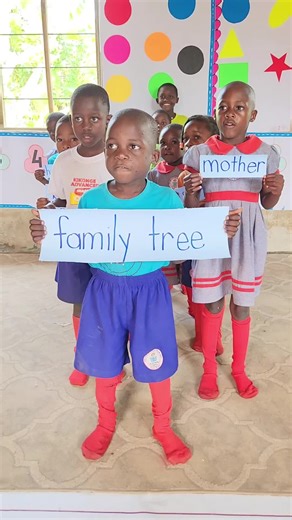 Exploring Our Top Class Family Tree