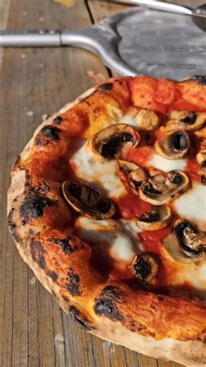 Homemade Pizza #2: The Dough