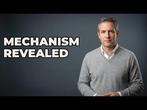 How Does The Catapult Release Mechanism Operate?