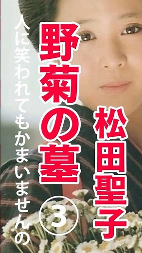野菊の墓③ 伊藤左千夫 人に笑われてもかまいませんの #松田聖子 #山口百恵 #小説 #朗読
