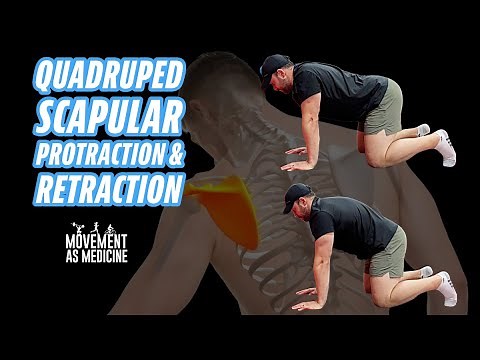 Quadruped Scapular Protraction/Retraction