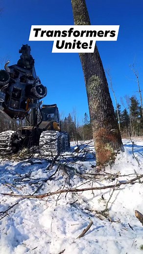 Massive Tree Cutting Machine! | Logger Mack