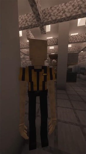 QUE PASARIA SI MINECRAFT AGREGARA IKEAS?